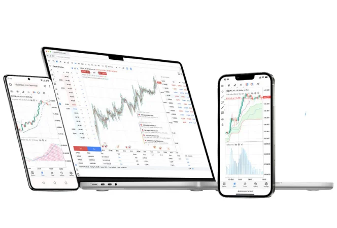 Margin Call Process
