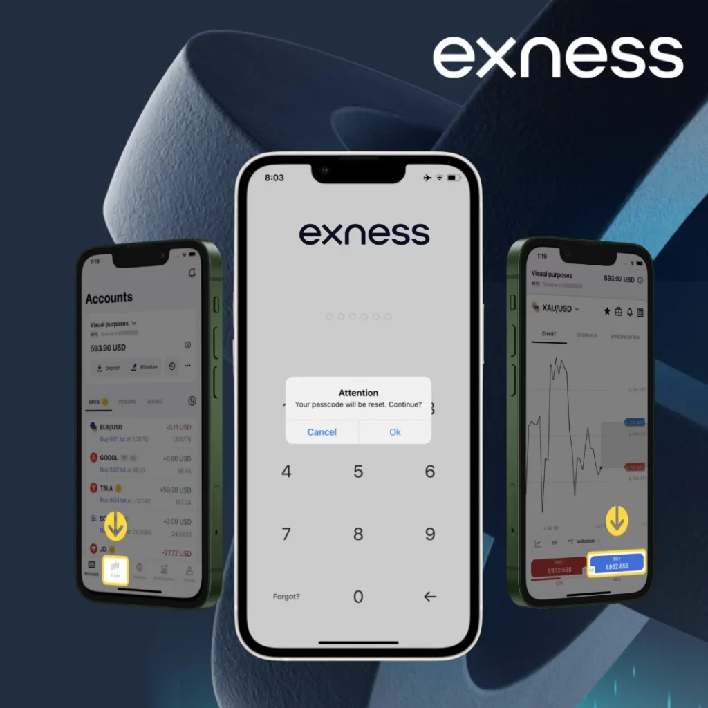 Account Verification Assistance